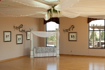 Dance Floor Ceiling Drapery - Gallery - Tulle & light ceiling decor for rent