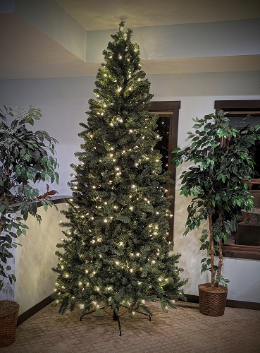 9' Prelit LED Spruce - Christmas