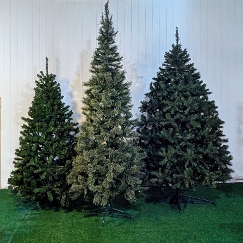 Trio of Pine Trees - Rent-a-Woods