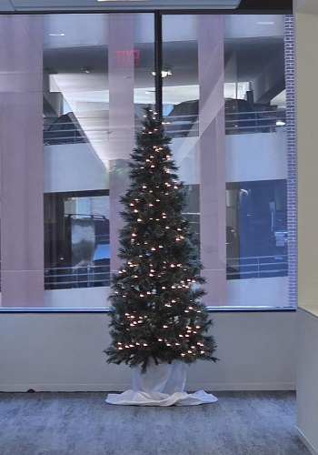 7.5' Slim Virginia Pine Tree - Christmas