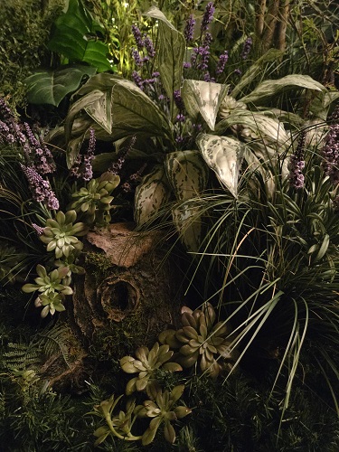 Whimsical stump up close