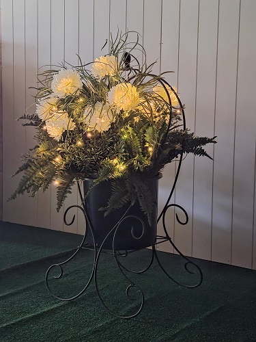 potted plant