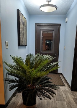 Cycas LIVE 2024