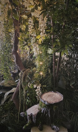 Fairyland Forest Theme - Rent-a-Woods