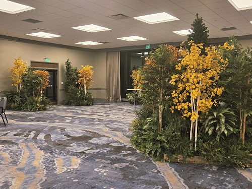 Rent-A-Woods 3 groupings - Rent-a-Woods