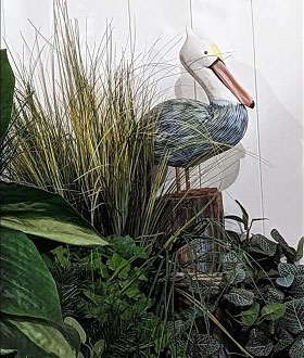 Pelican Habitat