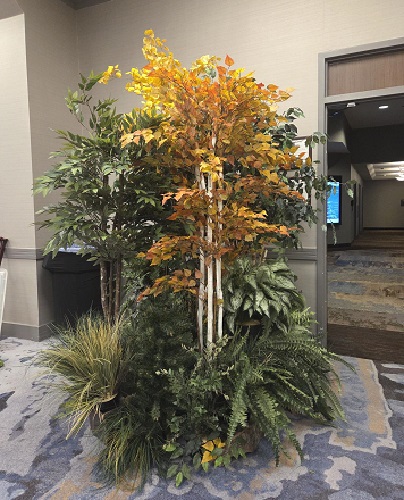 Small Fall Grouping - Rent-a-Woods