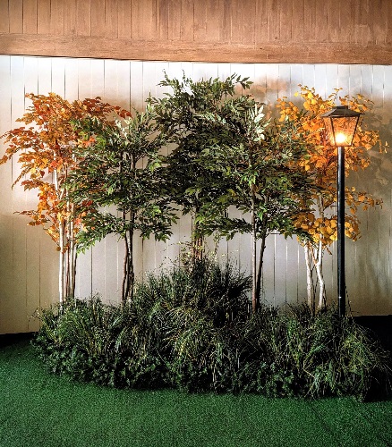 Deciduous Grouping Color & Street Light - Rent-a-Woods