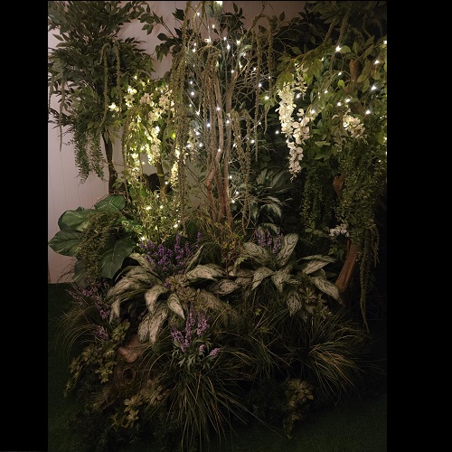 Enchanted Forest The,e - Rent-a-Woods