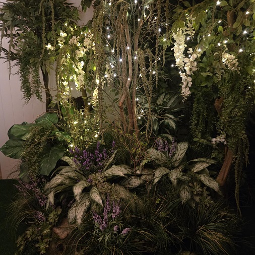 Enchanted Forest Theme - Rent-a-Woods