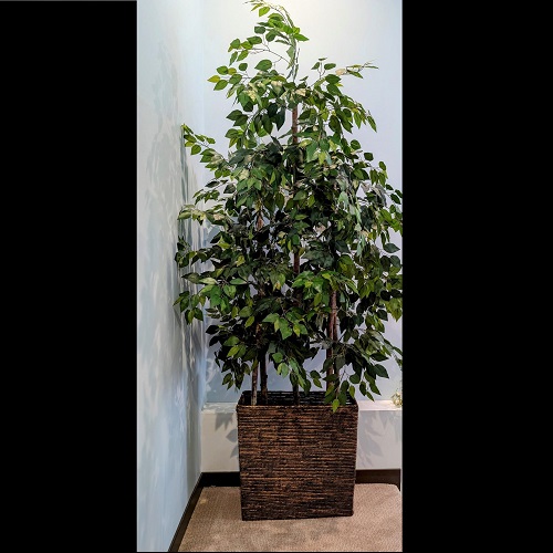 Triple Tree Room Divider - 