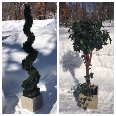 Cement planter with topiary